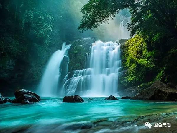 荒岛枪训